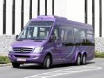Mercedes-Benz Sprinter City 77 2010 года